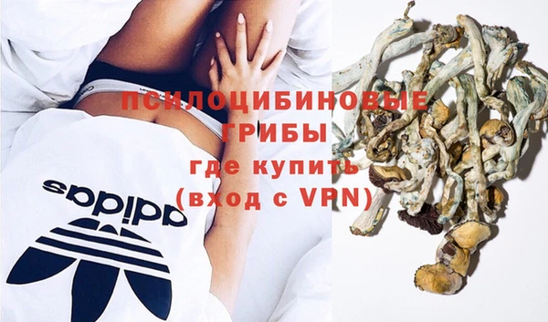 ALPHA PVP Лихославль