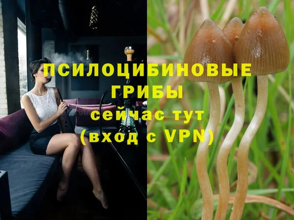 MDMA Premium VHQ Липки