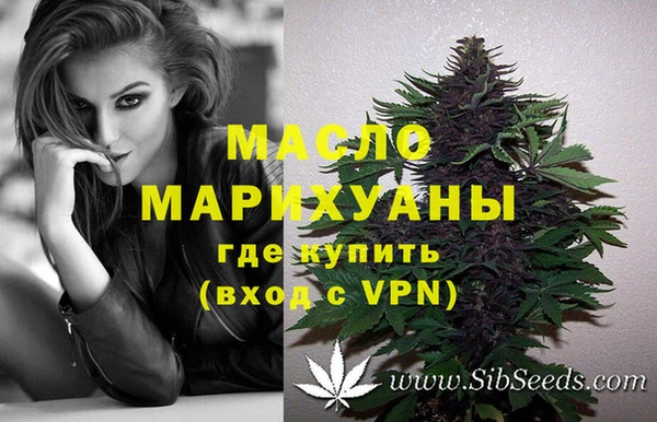 сатива Новосибирск