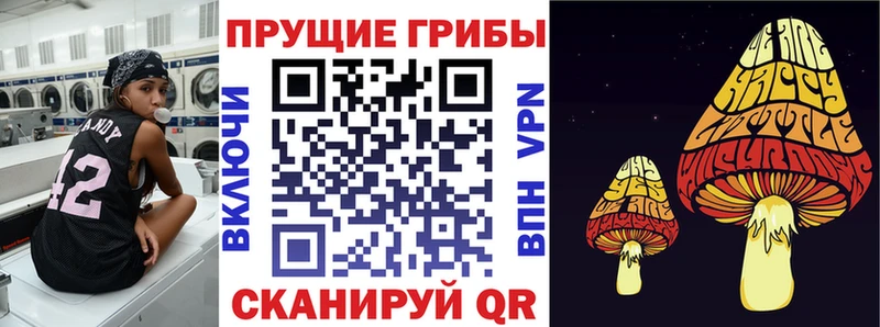 МЕГА как войти  Нефтекамск  Псилоцибиновые грибы MAGIC MUSHROOMS 