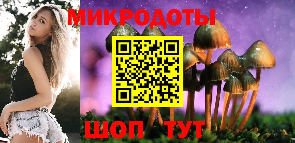 Псилоцибиновые грибы Cubensis Нефтекамск