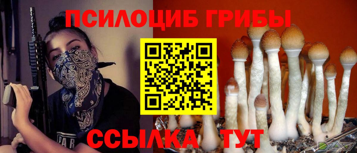 Псилоцибиновые грибы прущие грибы Нефтекамск