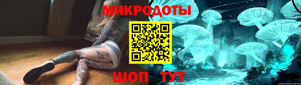 Псилоцибиновые грибы Psilocybe  Нефтекамск 